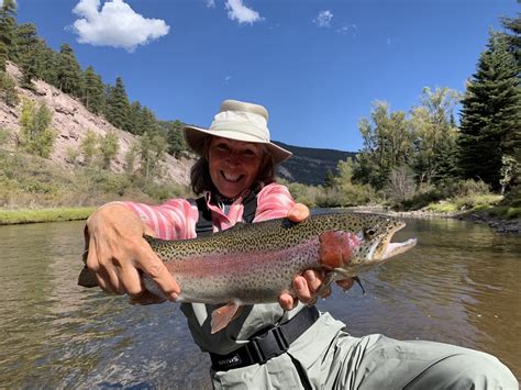 Rainbow trout ranch - September in the Rockies. We offer a special Colorado late season for “adults only” during the glorious month of September with the main emphasis on riding and fishing. A six night minimum stay is required and evening activities can be curtailed based on guests’ preferences. The fishing is at its best and we even offer a fisherman’s ... 